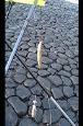 DSC05771