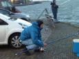 Nico heeft beet