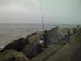 Menno heeft beet