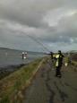 Ook Harm moet werken