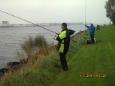 Harm vis of geen vis
