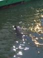 IMG-20171104-WA0000