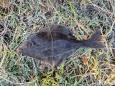 IMG-20220219-WA0000.jpg