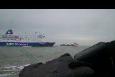 D.v.w zeevissen Zuidpier Maart 2012 (3)