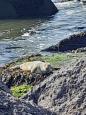 IMG-20220514-WA0011.jpg