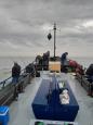 IMG-20221029-WA0002.jpg