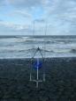 Petten 15-9-2012 (2)