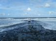 Petten 15-9-2012 (3)