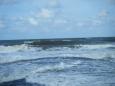 Petten 15-9-2012 (4)