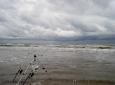 Strand egmond oktober 