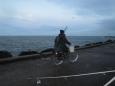 Noordpier 2012 02
