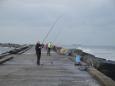 Noordpier 2012 05