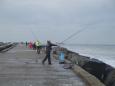 Noordpier 2012 06