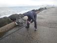 Noordpier 2012 10