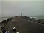 Wedstrijd Noordpier zaterdag 11 oktober