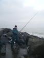 D.v.w. zeevissen Zuidpier maart 2012 (2)