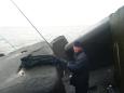 D.v.w. zeevissen Zuidpier maart 2012 (11)