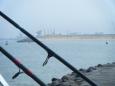 D.v.w. zeevissen Zuidpier maart 2012 (22)
